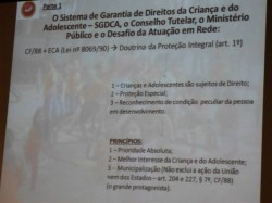 Seminário Conselhos Tutelares e o Sistema de Garantia de Direitos