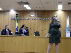 Seminário Conselhos Tutelares e o Sistema de Garantia de Direitos